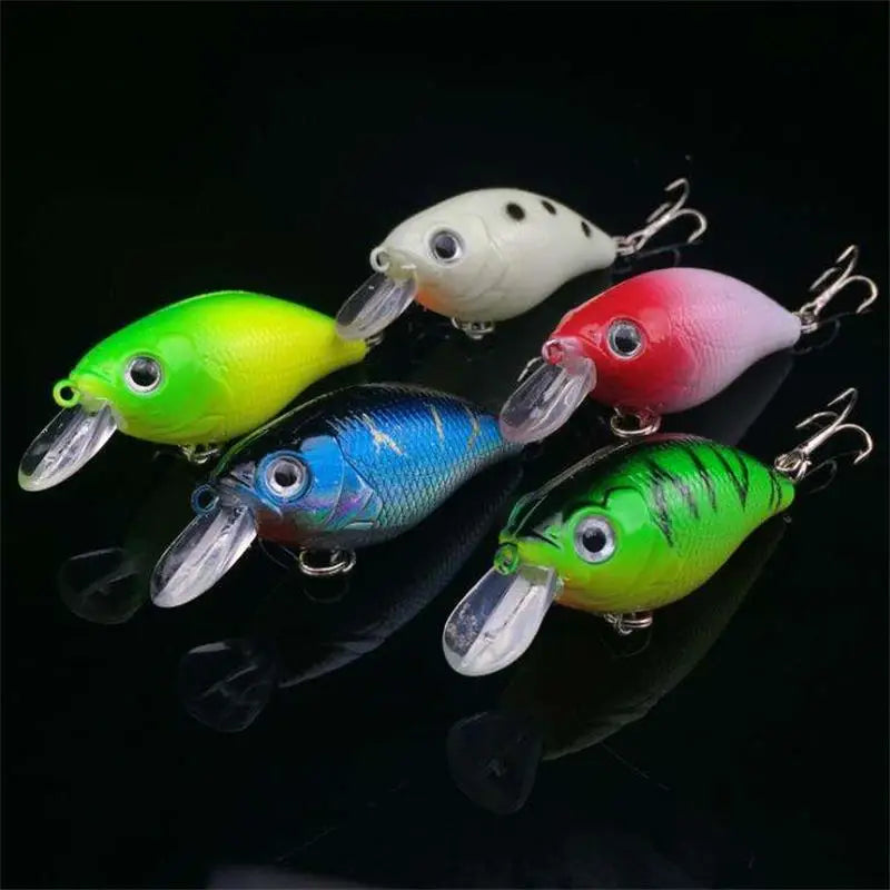 Lot de 5 leurres de pêche flottants - Multicolore